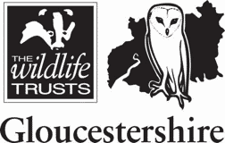 glos-wildlife-trust glos-wildlife-trust